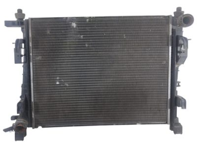 Radiador De Agua Renault Logan 1.6 (aa00000869)