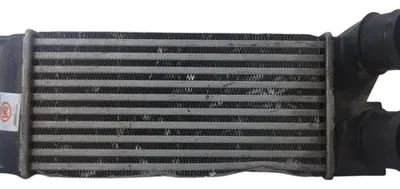 Intercooler Citroen Berlingo 1.6 Hdi (05585886)