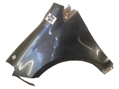 Guardabarro Izquierdo Fiat Palio Novo 326 (06955044)