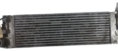 Intercooler Renault Megane 1.9 (02799377)