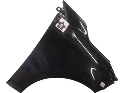 Guardabarro Derecho Fiat Cronos (06178648)