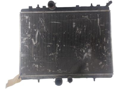 Radiador De Agua Peugeot 307 2.0 (04662071)