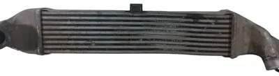 Intercooler Chevrolet S10 2.8 (05156425)