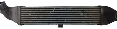 Intercooler Chevrolet S10 2.8 (05251279)