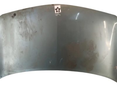 Capot Renault Megane 2 (05802584)
