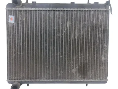 Radiador De Agua Peugeot 308 2.0 (06401489)