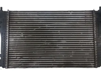Intercooler Audi Tt 2.0 (04850020)