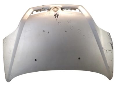 Capot Renault Scenic (aa00142005)