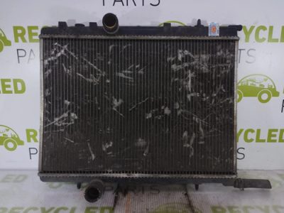 Radiador De Agua Peugeot 307 2.0 Hdi (05105467)