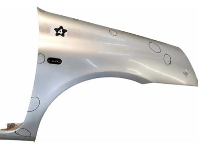 Guardabarro Derecho Renault Clio F2 (05783184)