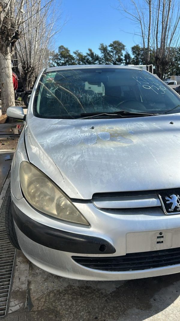 PEUGEOT 307 XS 1.6 5P (KHJ939)