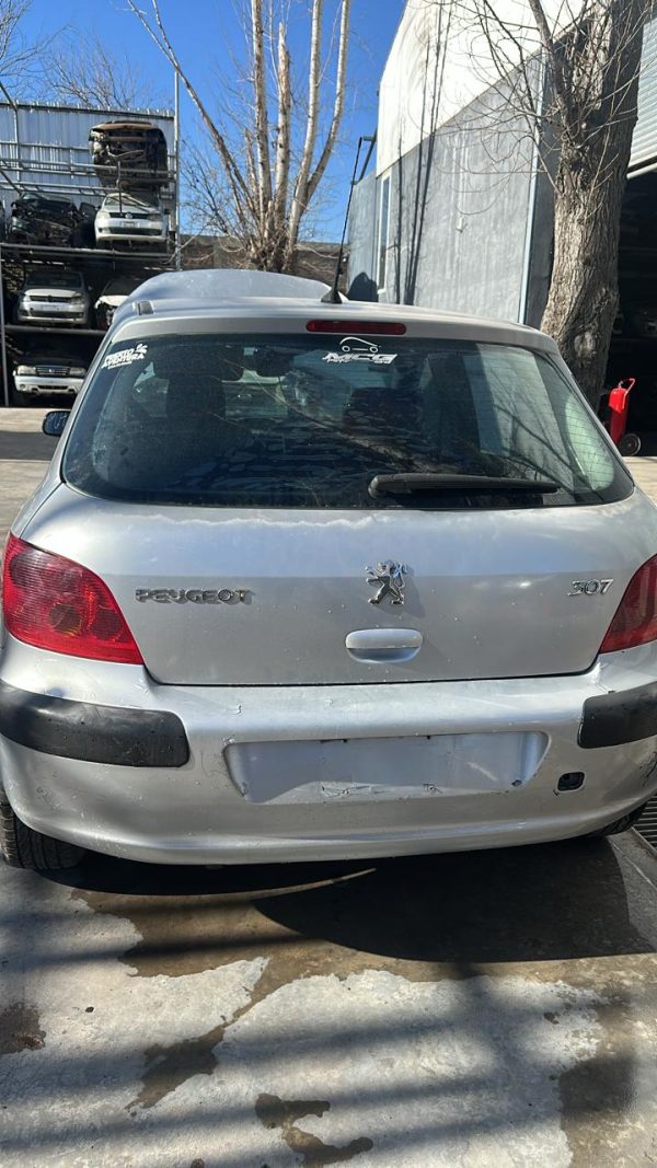 PEUGEOT 307 XS 1.6 5P (KHJ939)