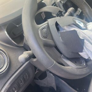 CAPTUR 2.0 INTENS (AD189NA)