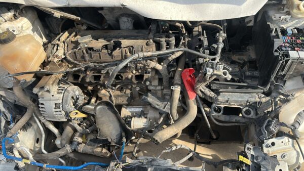 FIESTA 1.6L S (OSN498)