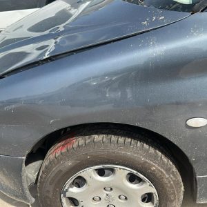 PEUGEOT 206 XR PREMIUM 1.6 3P (FMA032)