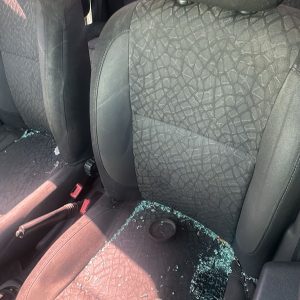 RENAULT DUSTER CONFORT PLUS 1.6 4X2 ABS (NIO589)