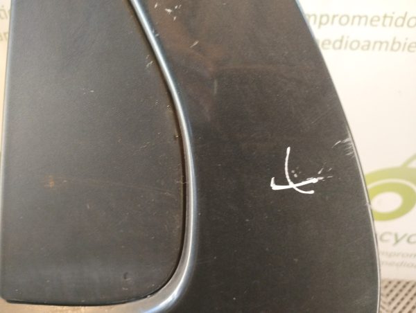 Puerta Trasera Izquierda Fiat Palio F3 (04688109)