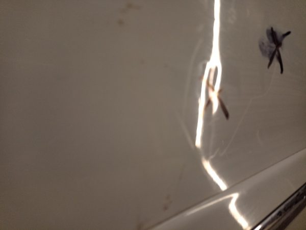 Puerta Trasera Derecha Peugeot 207 (03287816) Lp