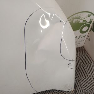 Capot Renault Kangoo Ln (05481902)