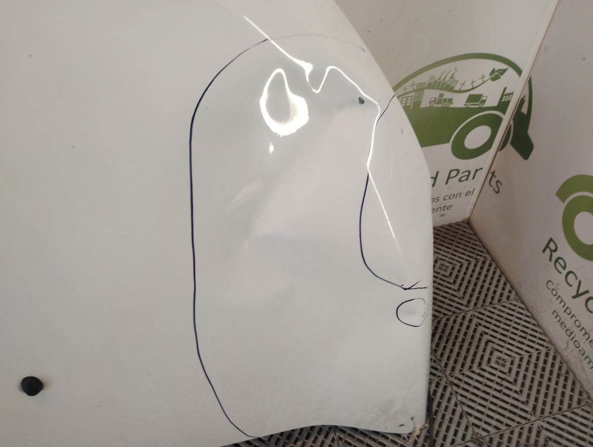 Capot Renault Kangoo Ln (05481902)