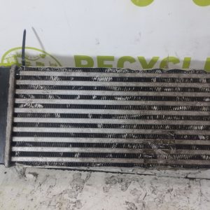 Intercooler Peugeot Partner 1.6 Hdi (04031151)