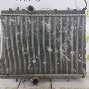 Radiador De Agua Peugeot 2008 1.6 (04943720)