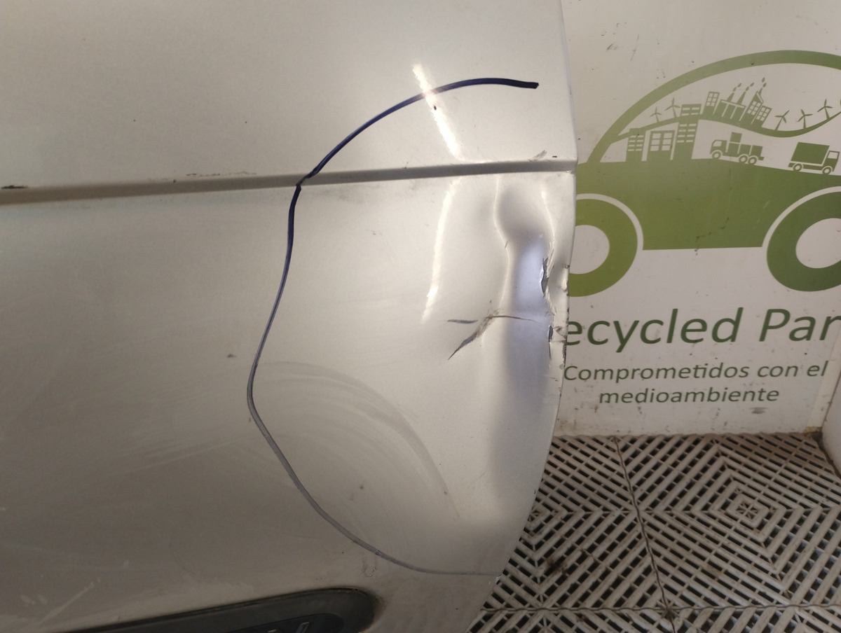 Puerta Delantera Derecha Renault Scenic (05787992)