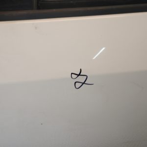 Puerta Trasera Izquierda Renault Fluence (06009091)