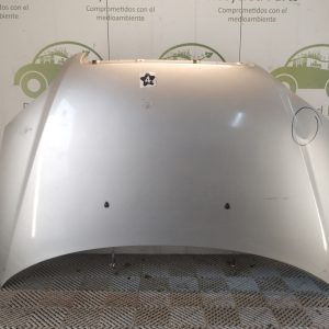 Capot Chevrolet Aveo (06328657)