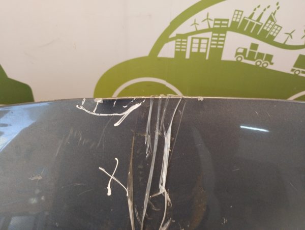 Capot Renault Sandero Lv (05034271)