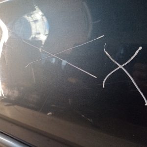 Puerta Trasera Izquierda Citroen Xsara Picasso (04475104)