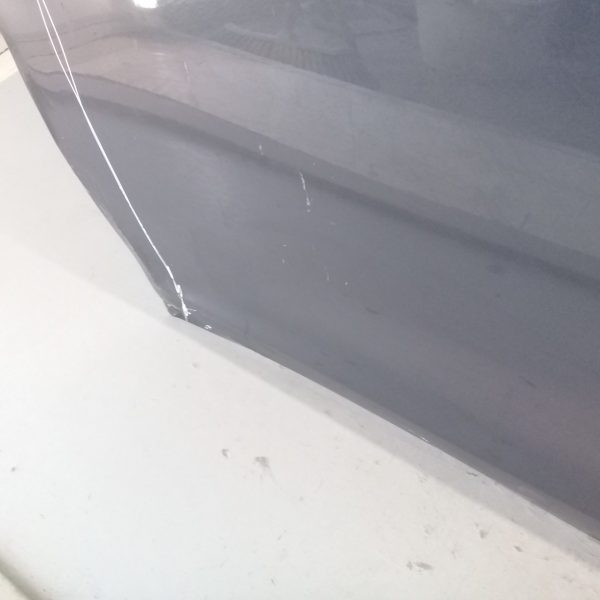 Puerta Delantera Izquierda Renault Nuevo Logan (02966456)