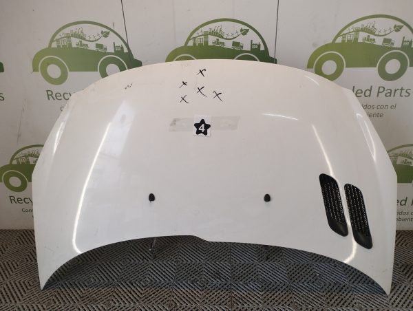 Capot Peugeot 207 (05595049)