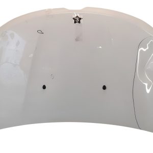 Capot Renault Kangoo Ln (05481902)