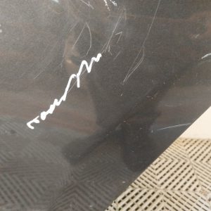 Puerta Trasera Izquierda Peugeot 3008 Lv (04943721)