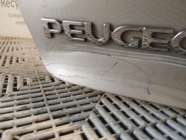Porton Trasero Peugeot 206 (02898331)