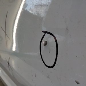 Puerta Trasera Derecha Fiat Uno Fire (04338692) Lp