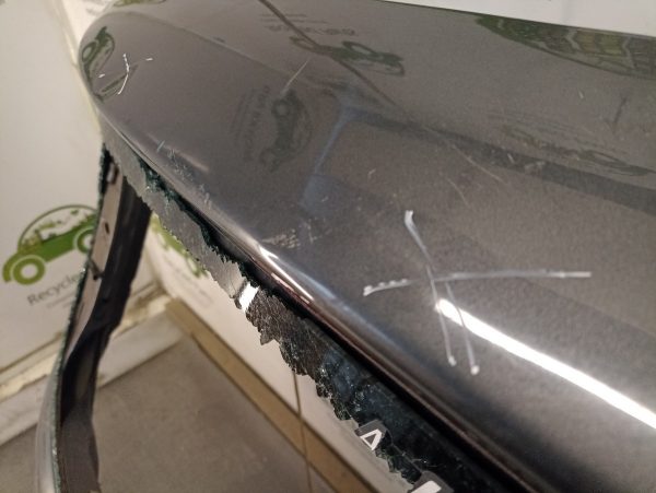 Porton Trasero Peugeot 307 (04467346)