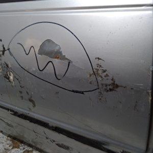 Puerta Trasera Derecha Ford Fiesta Lv (01250857) Lp