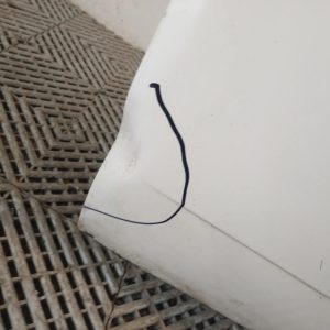 Puerta Delantera Izquierda Renault Duster (06108930)