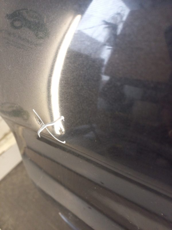 Puerta Trasera Izquierda Citroen Xsara Picasso (03916191)