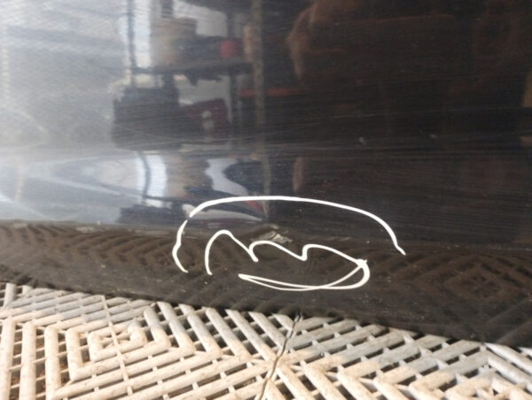Puerta Delantera Izquierda Ford Focus 2 (05575043)