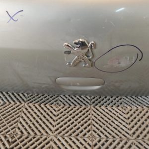 Porton Trasero Peugeot 307 (06553845) Lp