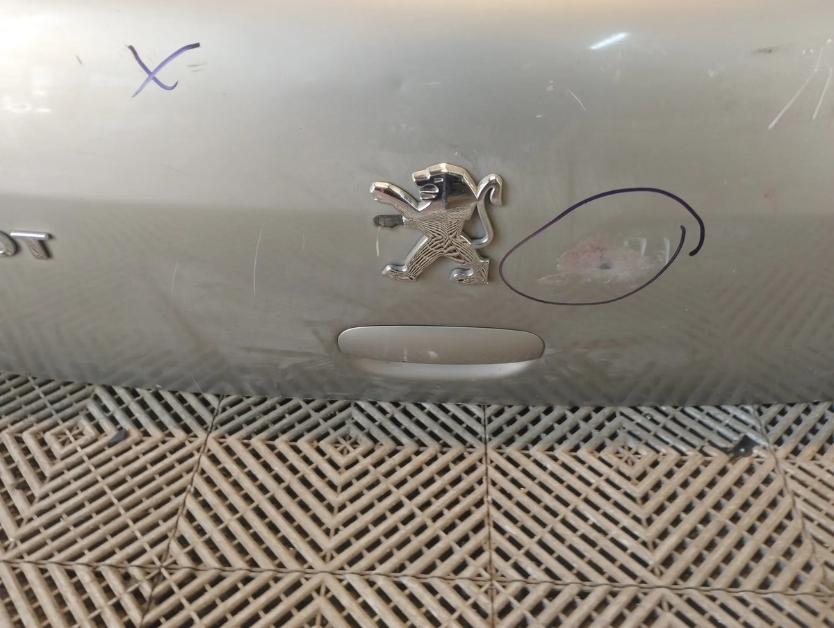 Porton Trasero Peugeot 307 (06553845) Lp