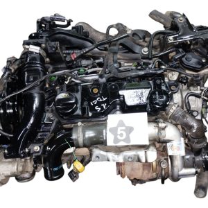 Motor Ford Ecosport 1.5 Tdci (05956356)