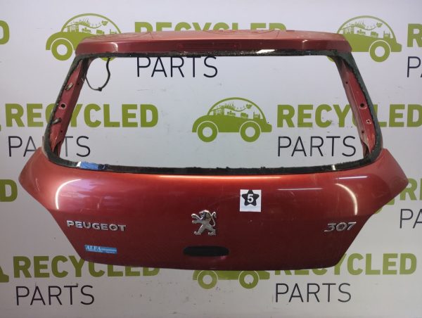 Porton Trasero Peugeot 307 (05559439)
