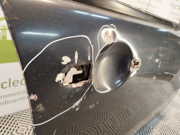Puerta Delantera Derecha Fiat Palio F2 (04660166)