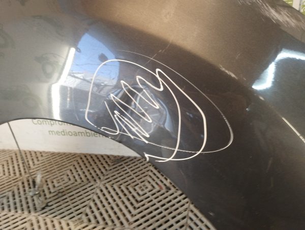 Guardabarro Derecho Citroen Nuevo C3 (06126403)