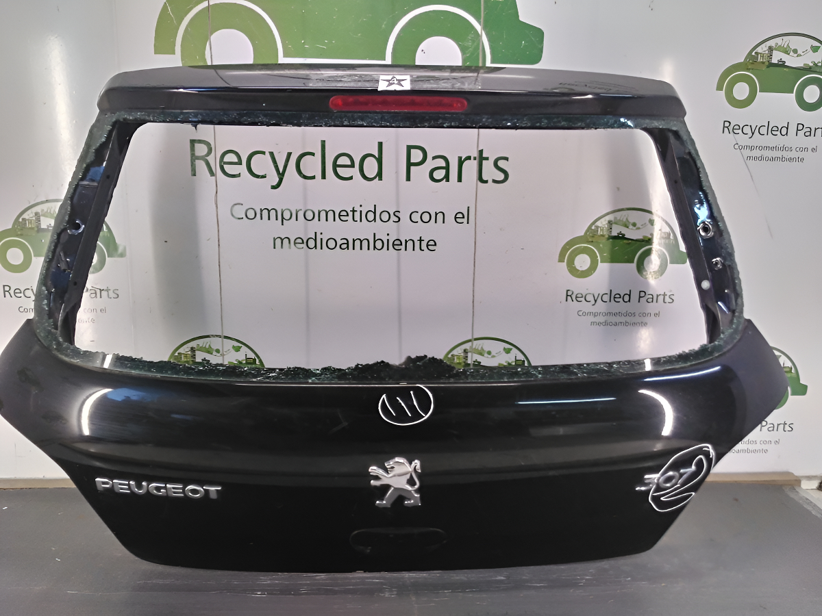 Porton Trasero Peugeot 307 (04183378)