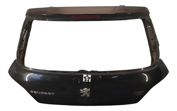 Porton Trasero Peugeot 307 (06231127)